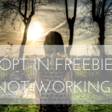 Opt-In Freebie Not Working?  Why Lack Of Perseverance Is Holding You Back.